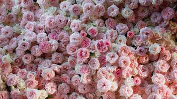 Free download Purit De Prvence video and edit with RedcoolMedia movie maker MovieStudio video editor online and AudioStudio audio editor onlin