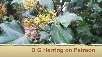 Free download Putting it out there video and edit with RedcoolMedia movie maker MovieStudio video editor online and AudioStudio audio editor onlin