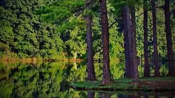 Free download Python for Machine learning video and edit with RedcoolMedia movie maker MovieStudio video editor online and AudioStudio audio editor onlin