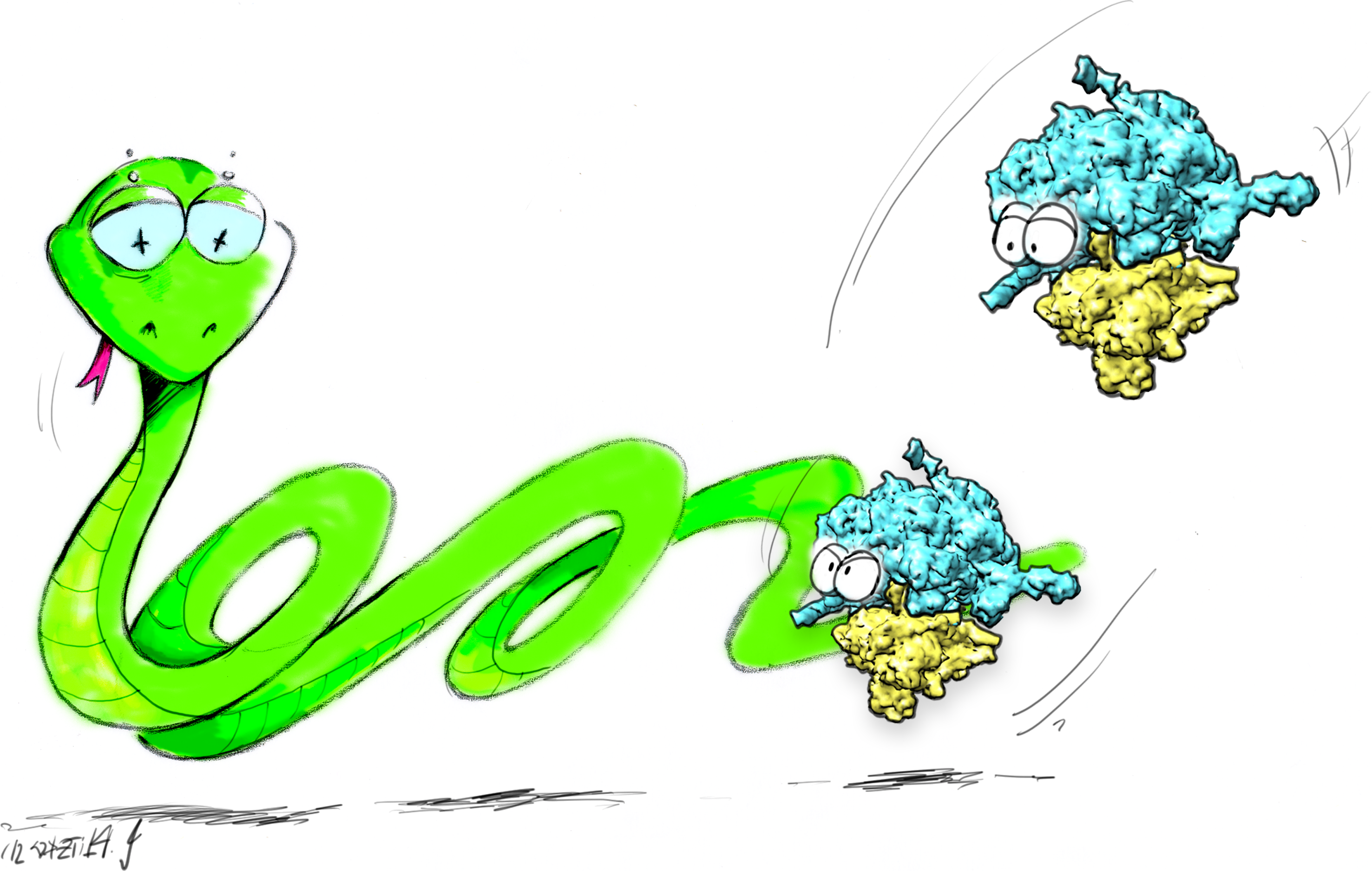 Download web tool or web app PyTom