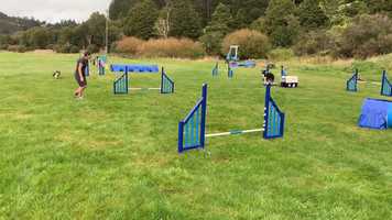 Free download Q-Me Crew Working video and edit with RedcoolMedia movie maker MovieStudio video editor online and AudioStudio audio editor onlin