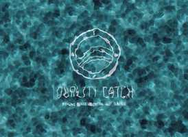 Free download Quality Catch Logo Animation video and edit with RedcoolMedia movie maker MovieStudio video editor online and AudioStudio audio editor onlin