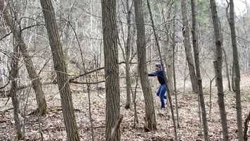 Free download Quarantine Daily Dance #21 video and edit with RedcoolMedia movie maker MovieStudio video editor online and AudioStudio audio editor onlin