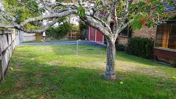 Free download Quarantine sport video and edit with RedcoolMedia movie maker MovieStudio video editor online and AudioStudio audio editor onlin