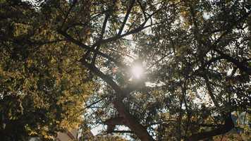 Free download Queen Mary | Geography Science video and edit with RedcoolMedia movie maker MovieStudio video editor online and AudioStudio audio editor onlin