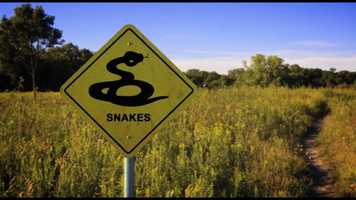 Free download Queensland Health video and edit with RedcoolMedia movie maker MovieStudio video editor online and AudioStudio audio editor onlin