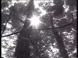 Free download Que lemetteur soit video and edit with RedcoolMedia movie maker MovieStudio video editor online and AudioStudio audio editor onlin