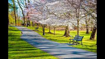 Free download QUIET TIME AND MINDFULLNESS MUSIC- TIME WITH YOURSELF1.mp4 video and edit with RedcoolMedia movie maker MovieStudio video editor online and AudioStudio audio editor onlin