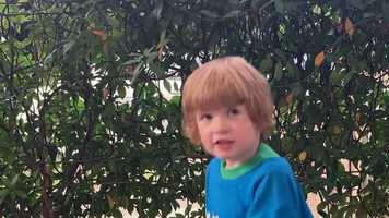 Free download Quizworx Acts Series 10 -  Memory Verse Acts 16_30-31 (song only) video and edit with RedcoolMedia movie maker MovieStudio video editor online and AudioStudio audio editor onlin