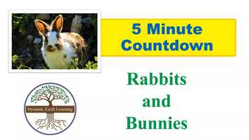 Free download Rabbits and Bunnies 5 Minute Classroom Timer video and edit with RedcoolMedia movie maker MovieStudio video editor online and AudioStudio audio editor onlin