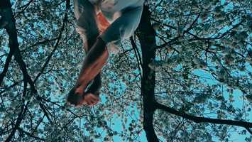 Free download Radical softness video and edit with RedcoolMedia movie maker MovieStudio video editor online and AudioStudio audio editor onlin