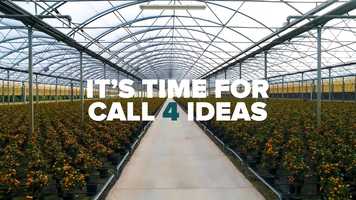 Free download Radice Pura - Call4Ideas video and edit with RedcoolMedia movie maker MovieStudio video editor online and AudioStudio audio editor onlin