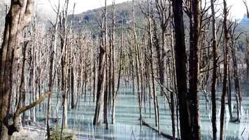 Free download Radio Suid Afrika - 10 Goed video and edit with RedcoolMedia movie maker MovieStudio video editor online and AudioStudio audio editor onlin