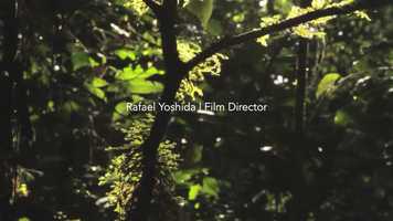 Free download Rafael Yoshida | Narrative Reel video and edit with RedcoolMedia movie maker MovieStudio video editor online and AudioStudio audio editor onlin