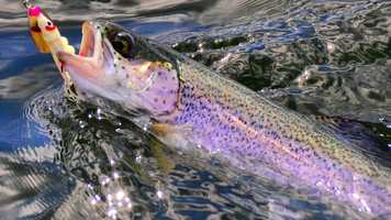 Free download Rainbow 2020 video and edit with RedcoolMedia movie maker MovieStudio video editor online and AudioStudio audio editor onlin