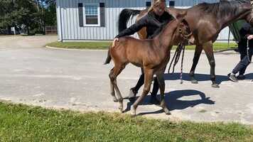 Free download Rainbows Ahead X Silent Name 2021 video and edit with RedcoolMedia movie maker MovieStudio video editor online and AudioStudio audio editor onlin