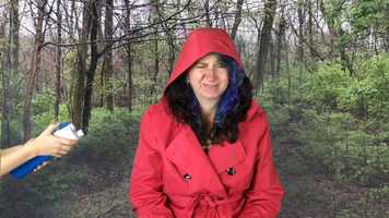 Free download Raindrops Roll by April Pulley Sayre video and edit with RedcoolMedia movie maker MovieStudio video editor online and AudioStudio audio editor onlin