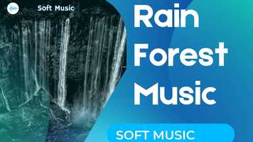 Free download Rainforest sounds video and edit with RedcoolMedia movie maker MovieStudio video editor online and AudioStudio audio editor onlin