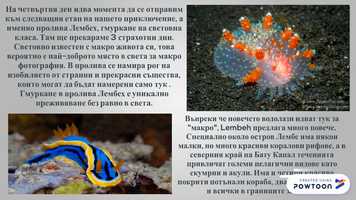 Free download Raja Ampat video and edit with RedcoolMedia movie maker MovieStudio video editor online and AudioStudio audio editor onlin