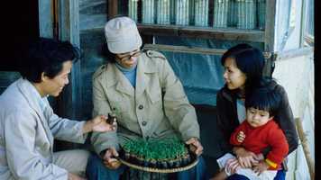 Free download Rapid Multiplication of Clean Planting Materials for Potato Production | Dalat, Vietnam video and edit with RedcoolMedia movie maker MovieStudio video editor online and AudioStudio audio editor onlin