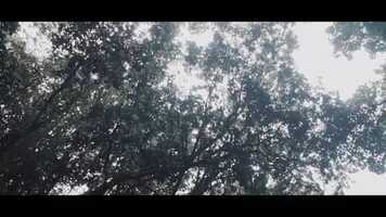 Free download Rashaad x Big Sea- 758 Music Video video and edit with RedcoolMedia movie maker MovieStudio video editor online and AudioStudio audio editor onlin