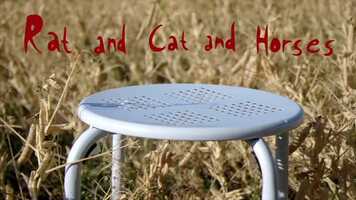 Free download Rat and Cat and Horses video and edit with RedcoolMedia movie maker MovieStudio video editor online and AudioStudio audio editor onlin