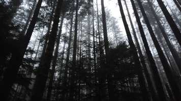 Free download Rattlesnake Ledge video and edit with RedcoolMedia movie maker MovieStudio video editor online and AudioStudio audio editor onlin