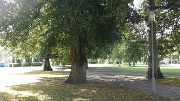 Free download Rdhusklokkerne Aarhus, Denmark video and edit with RedcoolMedia movie maker MovieStudio video editor online and AudioStudio audio editor onlin