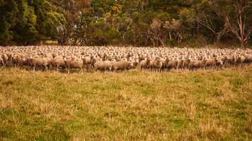 Free download Real Climate Action Malabar Farm video and edit with RedcoolMedia movie maker MovieStudio video editor online and AudioStudio audio editor onlin