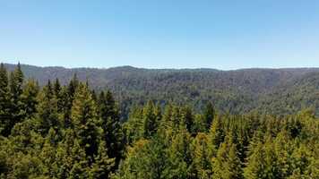 Free download Real Estate Showcase (with Music) video and edit with RedcoolMedia movie maker MovieStudio video editor online and AudioStudio audio editor onlin