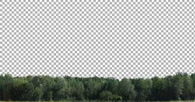 Free download Real Trees Isolated 1 (Medium Wind) | Motion Graphics - Envato elements video and edit with RedcoolMedia movie maker MovieStudio video editor online and AudioStudio audio editor onlin