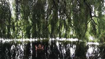 Free download rebirth test video and edit with RedcoolMedia movie maker MovieStudio video editor online and AudioStudio audio editor onlin