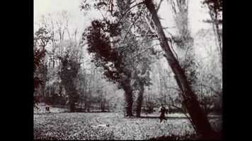 Free download Re-cut Ass1_Stephanie Parkinson video and edit with RedcoolMedia movie maker MovieStudio video editor online and AudioStudio audio editor onlin