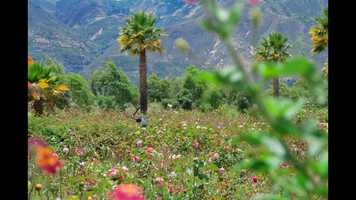 Free download REEL Juan Fernando Collazos - Photo editing, Retouching video and edit with RedcoolMedia movie maker MovieStudio video editor online and AudioStudio audio editor onlin