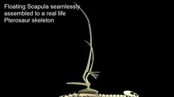 Free download Reel Spring 2019 video and edit with RedcoolMedia movie maker MovieStudio video editor online and AudioStudio audio editor onlin