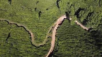 Free download Refreshing Natural Music-Listen when you get boared Relaxing Music video and edit with RedcoolMedia movie maker MovieStudio video editor online and AudioStudio audio editor onlin