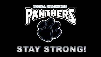 Free download Regina Fight Song video and edit with RedcoolMedia movie maker MovieStudio video editor online and AudioStudio audio editor onlin