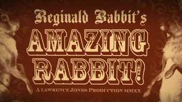 Free download Reginald Babbits Amazing Rabbit video and edit with RedcoolMedia movie maker MovieStudio video editor online and AudioStudio audio editor onlin
