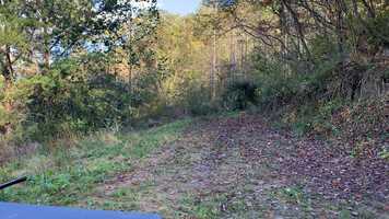 Free download ReginaTackett video and edit with RedcoolMedia movie maker MovieStudio video editor online and AudioStudio audio editor onlin