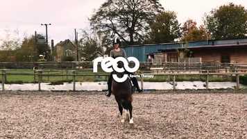 Free download ReGo Sports Therapy 2019 - Horse Riding video and edit with RedcoolMedia movie maker MovieStudio video editor online and AudioStudio audio editor onlin