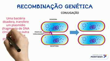 Free download reino monera video and edit with RedcoolMedia movie maker MovieStudio video editor online and AudioStudio audio editor onlin