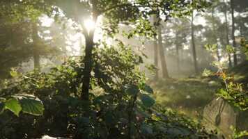 Free download relaxation video/amazing drone shots video and edit with RedcoolMedia movie maker MovieStudio video editor online and AudioStudio audio editor onlin