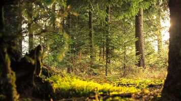 Free download Relaxing-meditation music. video and edit with RedcoolMedia movie maker MovieStudio video editor online and AudioStudio audio editor onlin