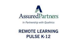 Free download Remote Learning Pulse K-12 video and edit with RedcoolMedia movie maker MovieStudio video editor online and AudioStudio audio editor onlin