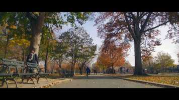 Free download Rents Due video and edit with RedcoolMedia movie maker MovieStudio video editor online and AudioStudio audio editor onlin