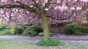 Free download Repurpose The Happiness video and edit with RedcoolMedia movie maker MovieStudio video editor online and AudioStudio audio editor onlin