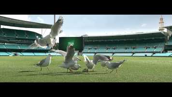 Free download Requiem For A Pie video and edit with RedcoolMedia movie maker MovieStudio video editor online and AudioStudio audio editor onlin