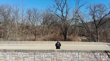 Free download Reversed dronie video and edit with RedcoolMedia movie maker MovieStudio video editor online and AudioStudio audio editor onlin