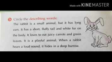 Free download REVISION - L. -6 Pg. No. 19  22 Ex. - A  D video and edit with RedcoolMedia movie maker MovieStudio video editor online and AudioStudio audio editor onlin