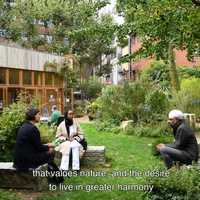 Free download Rewilding Cities video and edit with RedcoolMedia movie maker MovieStudio video editor online and AudioStudio audio editor onlin